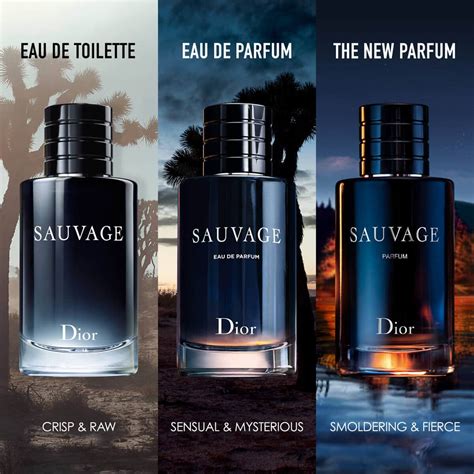 dior sauvage scent type|dior sauvage concentrations.